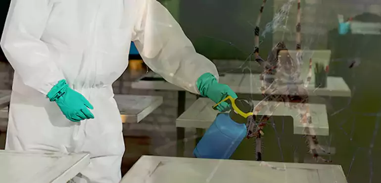 Why Buyers Still Want Homes With Pest Infestations in Reno, NV?