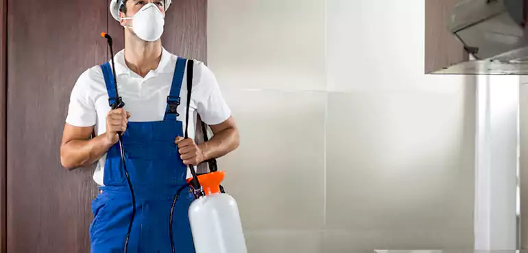 Why Reno Homeowners Choose Us When Pests Make Selling Difficult